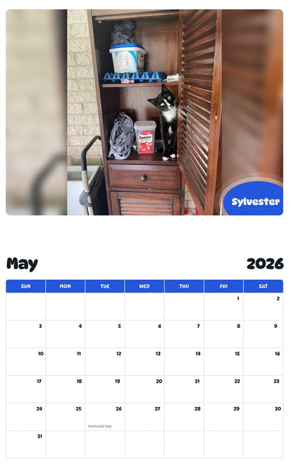 2026 - 2027 Sylvester - Pawidols Pet Calendar