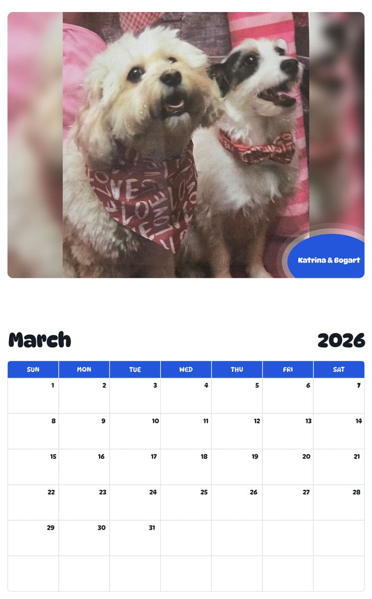 November 2025 - October 2026 Katrina & Bogart - Pawidols Pet Calendar