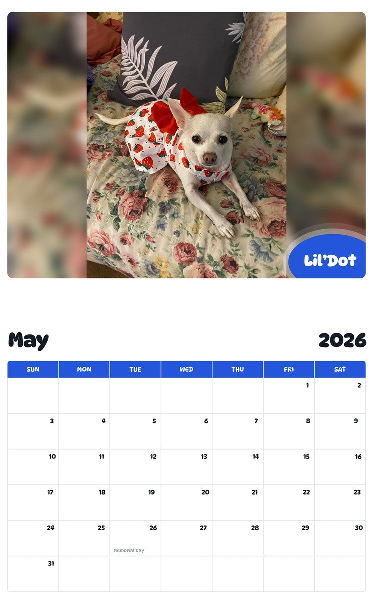 2026 - 2027 Lil’Dot - Pawidols Pet Calendar