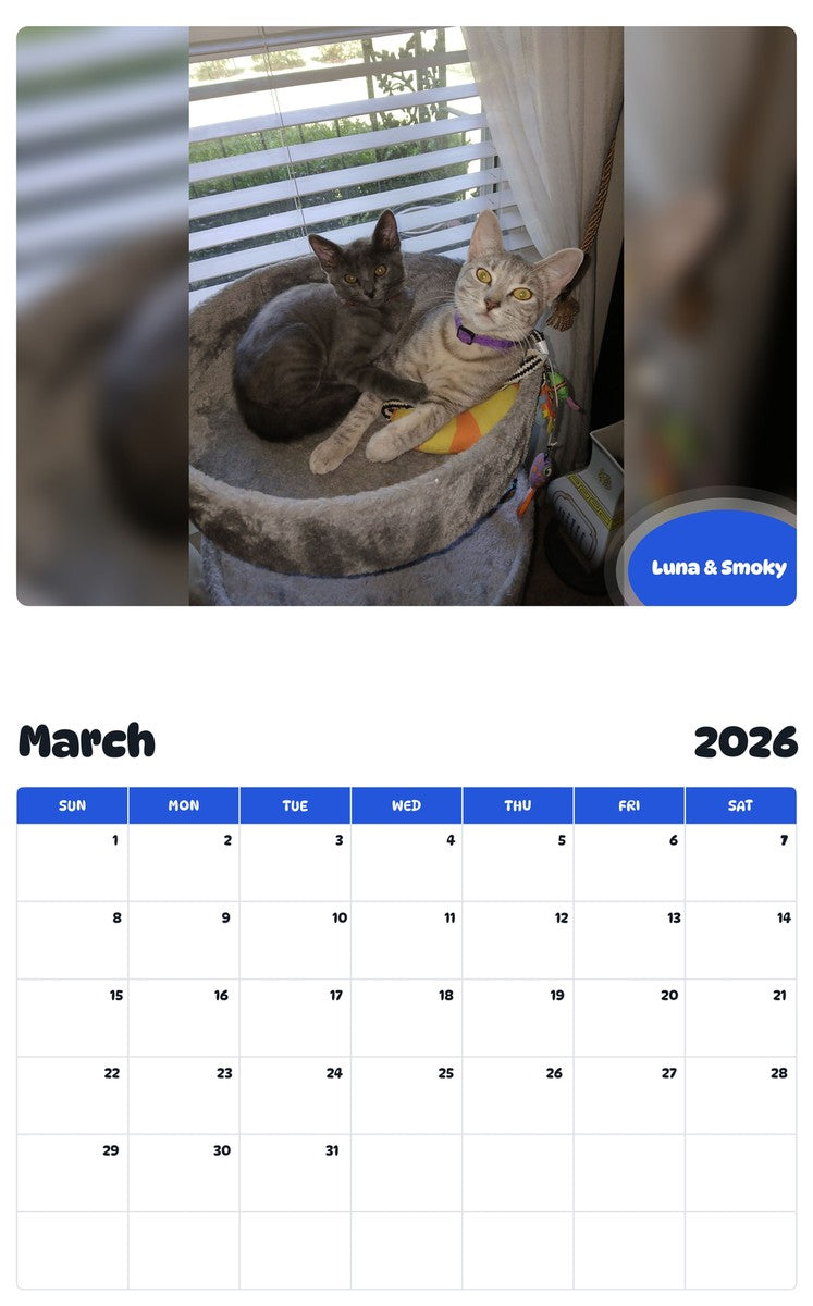 November 2025 - October 2026 Luna & Smoky - Pawidols Pet Calendar