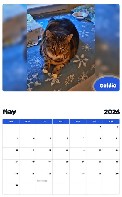 2026 - 2027 Goldie - Pawidols Pet Calendar