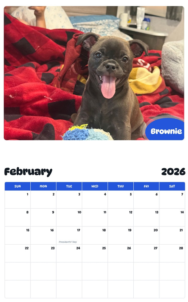 October 2025 - September 2026 Brownie - Pawidols Pet Calendar