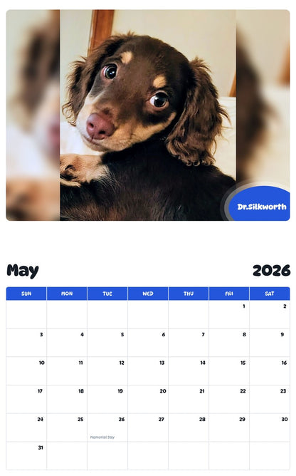 2026 - 2027 Dr.Silkworth - Pawidols Pet Calendar