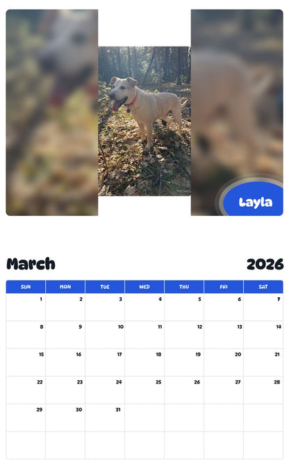 November 2025 - October 2026 Layla - Pawidols Pet Calendar