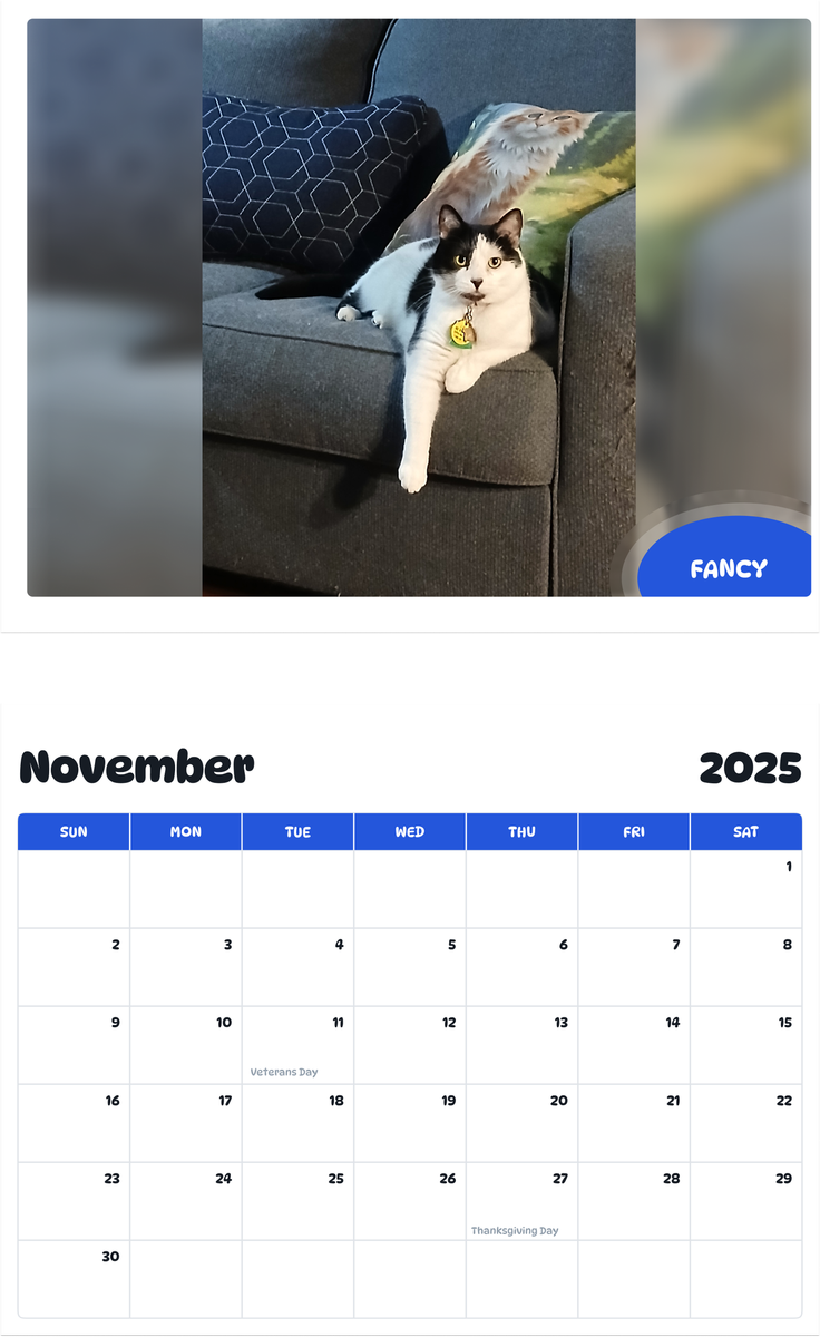 July 2025 - June 2026 Fancy - Pawidols Pet Calendar