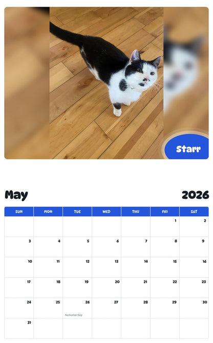 2026 - 2027 Starr - Pawidols Pet Calendar