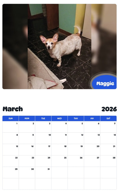 November 2025 - October 2026 Maggie - Pawidols Pet Calendar