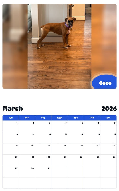 November 2025 - October 2026 Coco - Pawidols Pet Calendar