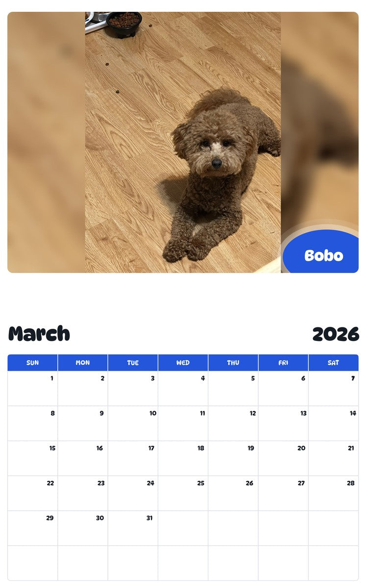 November 2025 - October 2026 Bobo - Pawidols Pet Calendar