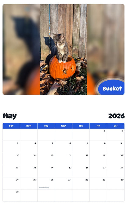 2026 - 2027 Bucket - Pawidols Pet Calendar