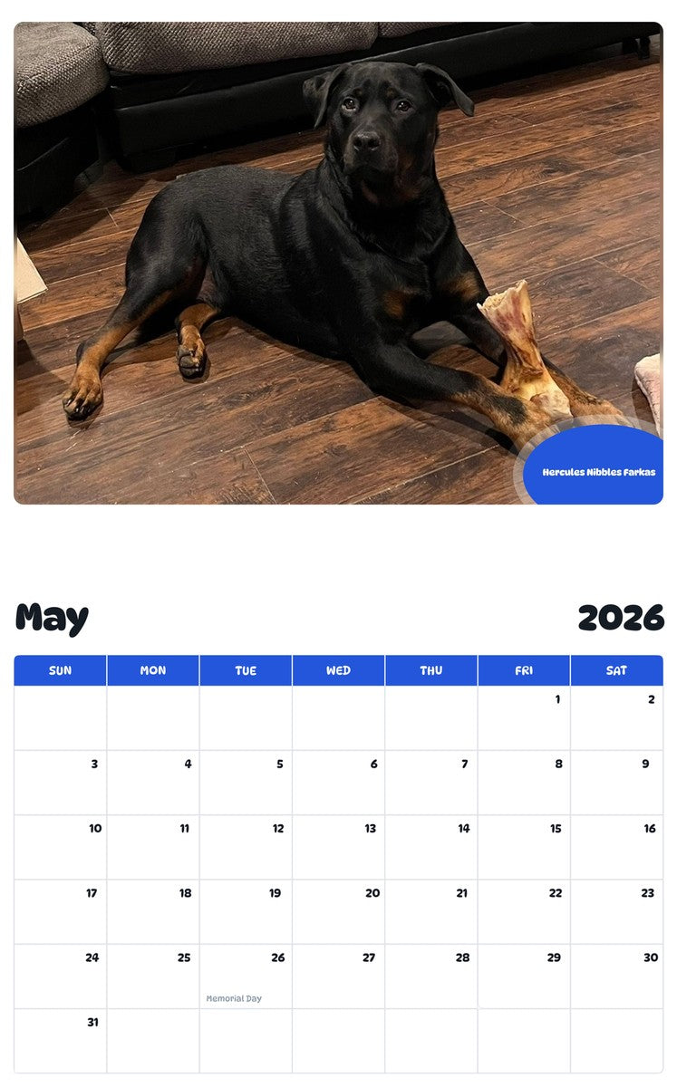 2026 - 2027 Hercules Nibbles Farkas - Pawidols Pet Calendar