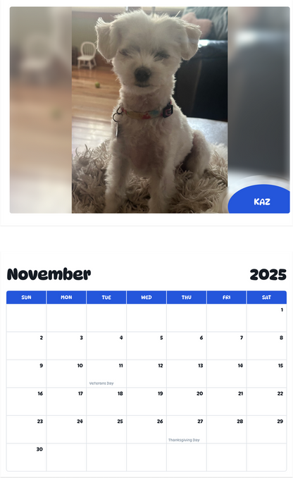 July 2025 - June 2026 Kaz - Pawidols Pet Calendar