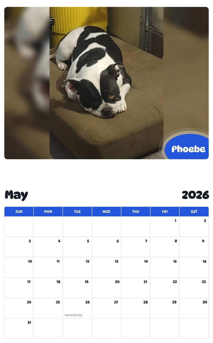 2026 - 2027 Phoebe - Pawidols Pet Calendar