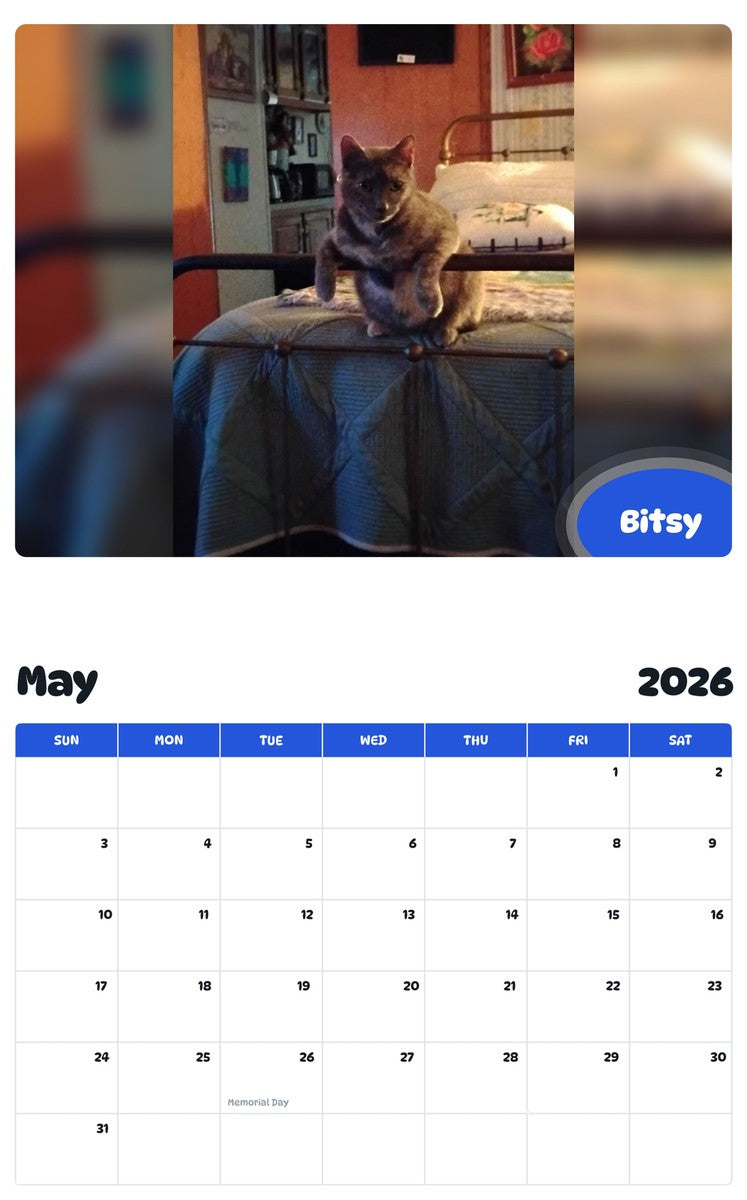 2026 - 2027 Bitsy - Pawidols Pet Calendar