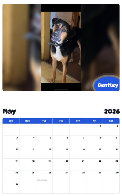 2026 - 2027 Bentley - Pawidols Pet Calendar