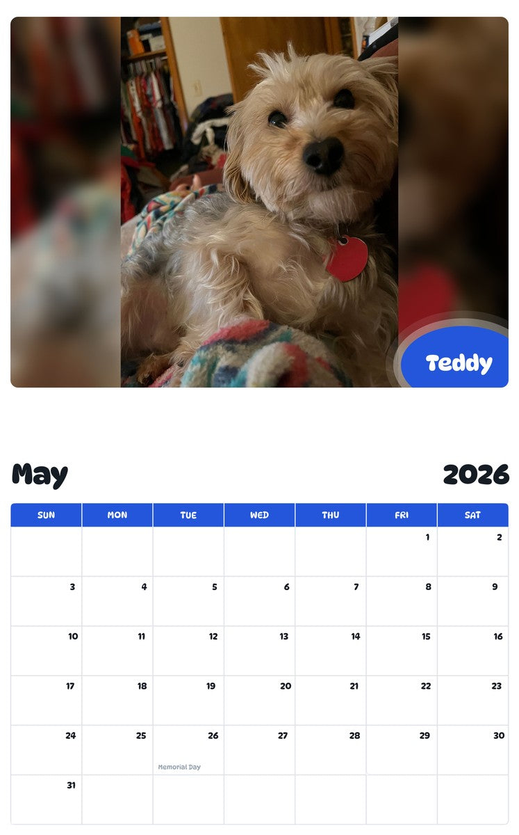 2026 - 2027 Teddy - Pawidols Pet Calendar