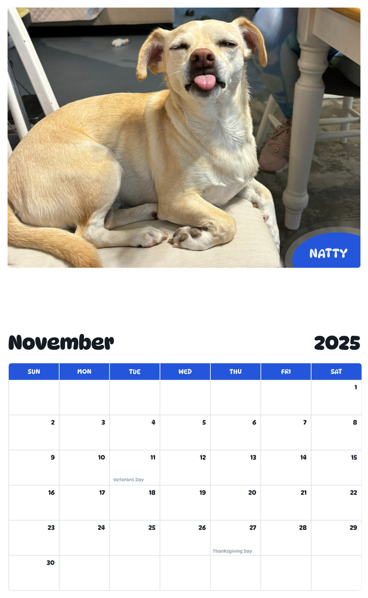 July 2025 - June 2026 Natty - Pawidols Pet Calendar