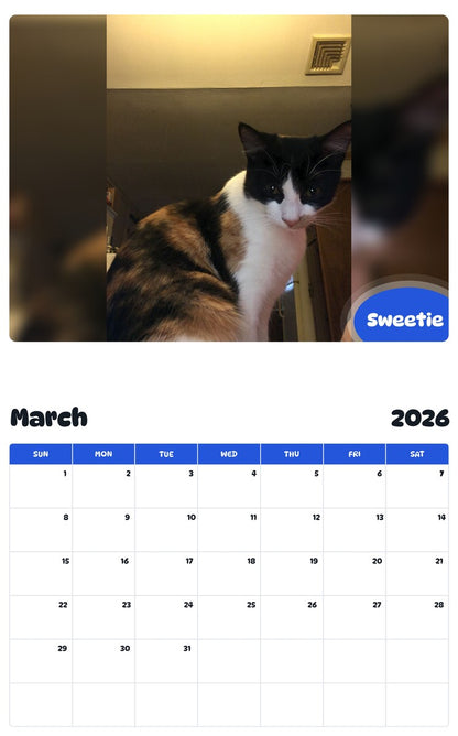 November 2025 - October 2026 Sweetie - Pawidols Pet Calendar