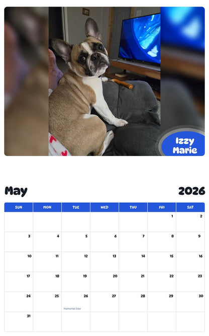 2026 - 2027 Izzy Marie - Pawidols Pet Calendar
