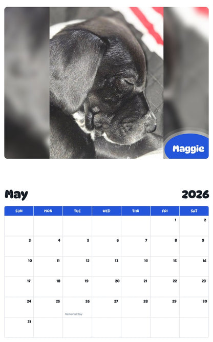 2026 - 2027 Maggie - Pawidols Pet Calendar