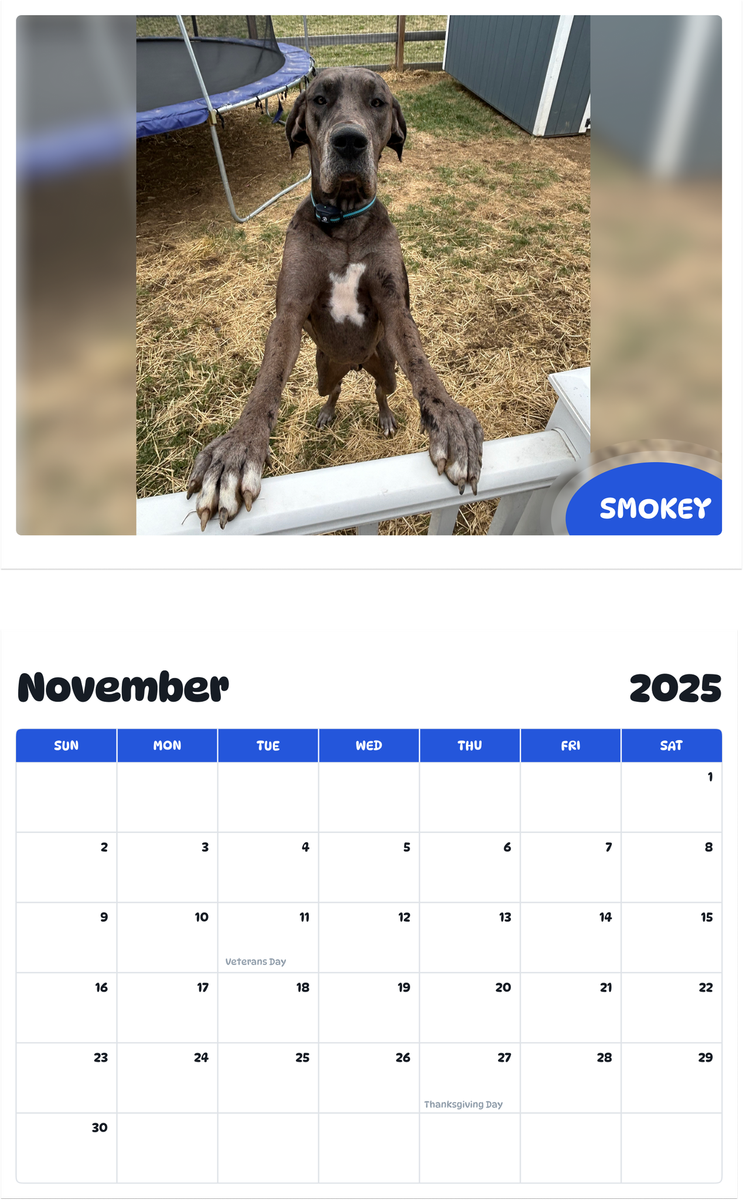 July 2025 - June 2026 Smokey - Pawidols Pet Calendar