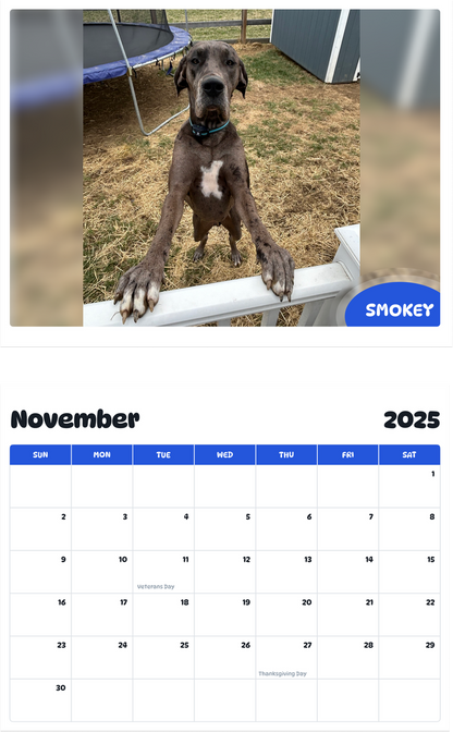 July 2025 - June 2026 Smokey - Pawidols Pet Calendar