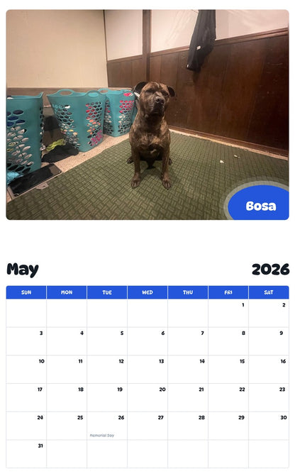 2026 - 2027 Bosa - Pawidols Pet Calendar
