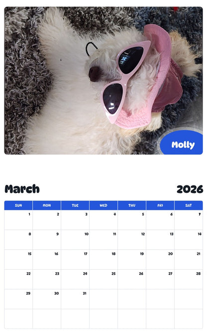 November 2025 - October 2026 Molly - Pawidols Pet Calendar