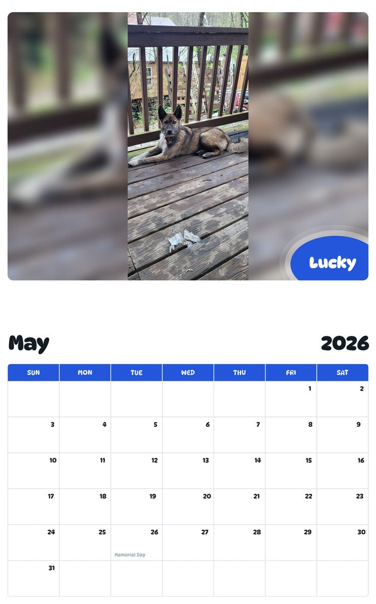 2026 - 2027 Lucky - Pawidols Pet Calendar