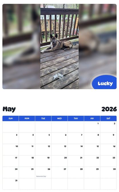 2026 - 2027 Lucky - Pawidols Pet Calendar