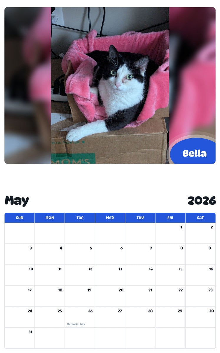 2026 - 2027 Bella - Pawidols Pet Calendar