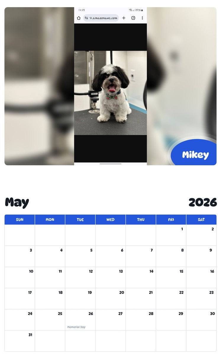 2026 - 2027 Mikey - Pawidols Pet Calendar