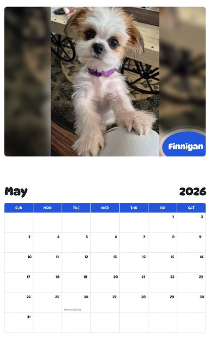 2026 - 2027 Finnigan - Pawidols Pet Calendar