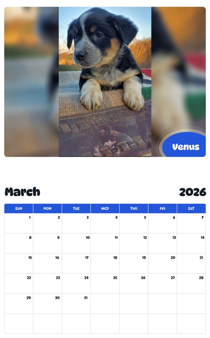November 2025 - October 2026 Venus - Pawidols Pet Calendar