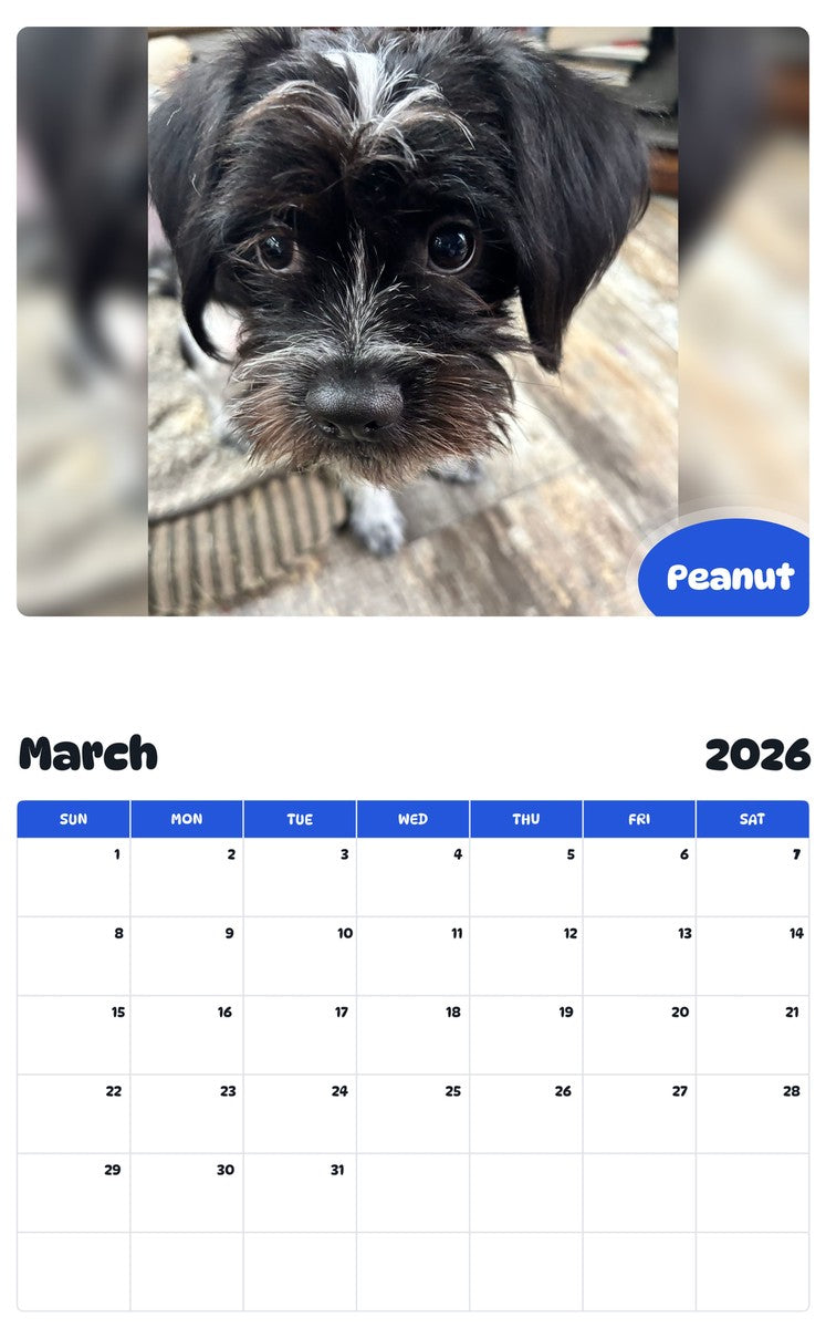November 2025 - October 2026 Peanut - Pawidols Pet Calendar