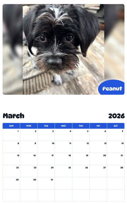 November 2025 - October 2026 Peanut - Pawidols Pet Calendar