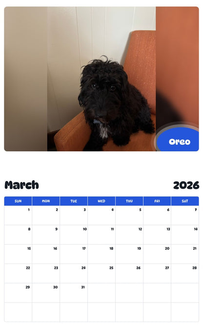 November 2025 - October 2026 Oreo - Pawidols Pet Calendar