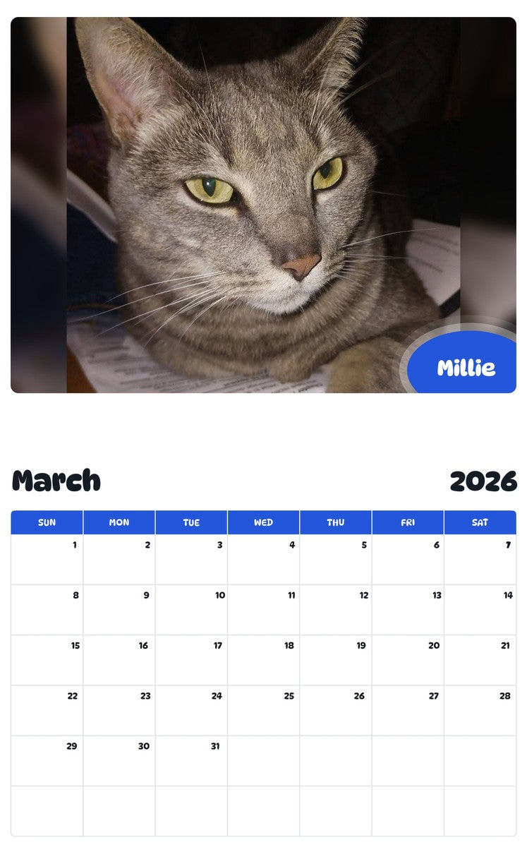 November 2025 - October 2026 Millie - Pawidols Pet Calendar