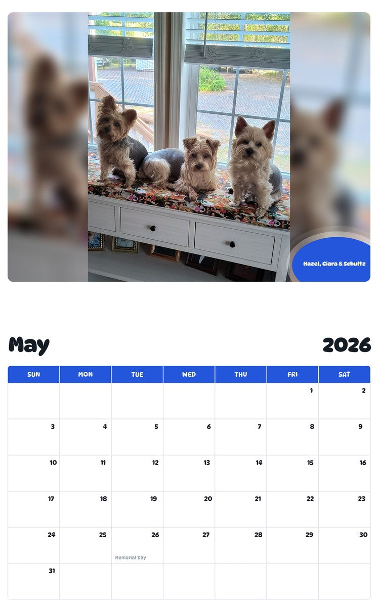 2026 - 2027 Hazel, Ciara & Schultz - Pawidols Pet Calendar