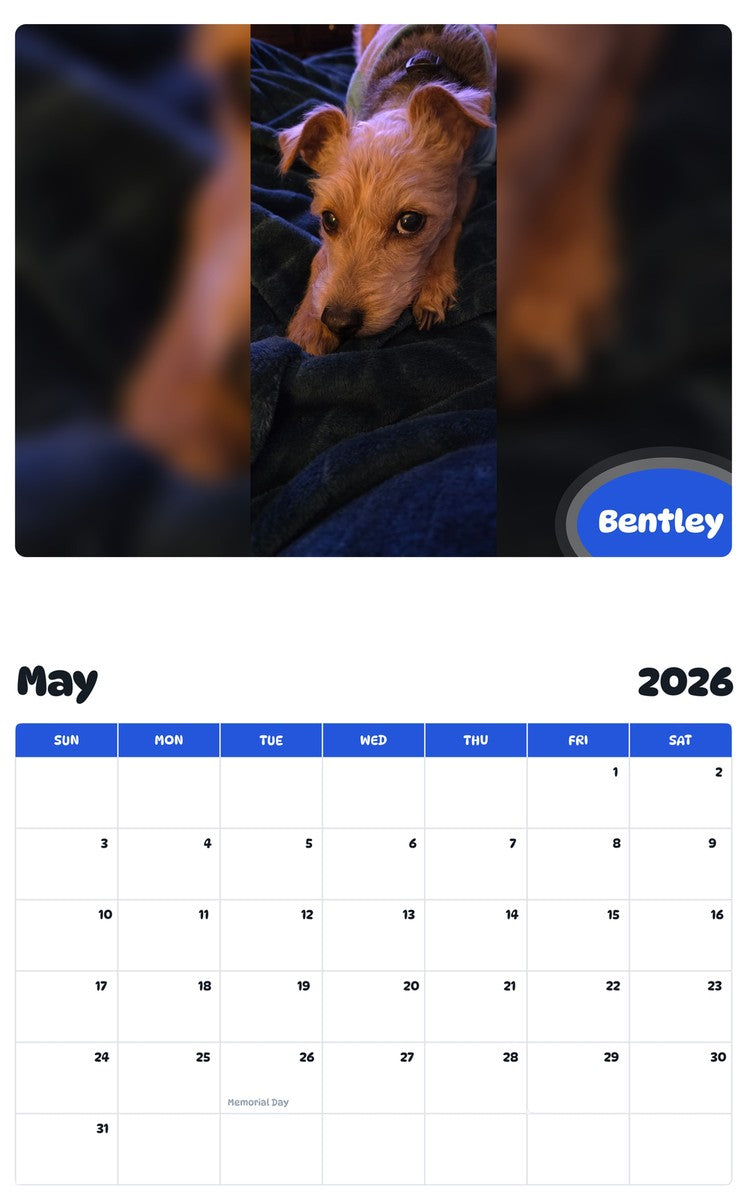 2026 - 2027 Bentley - Pawidols Pet Calendar