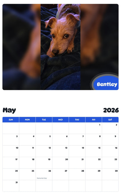 2026 - 2027 Bentley - Pawidols Pet Calendar