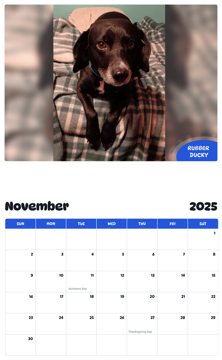 July 2025 - June 2026 Rubber Ducky - Pawidols Pet Calendar