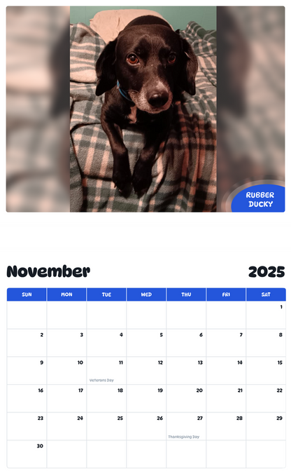 July 2025 - June 2026 Rubber Ducky - Pawidols Pet Calendar