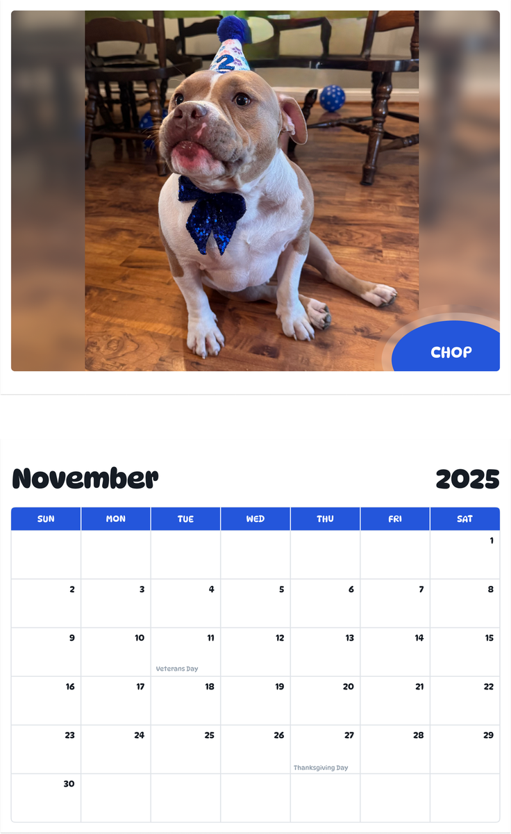 July 2025 - June 2026 Chop - Pawidols Pet Calendar