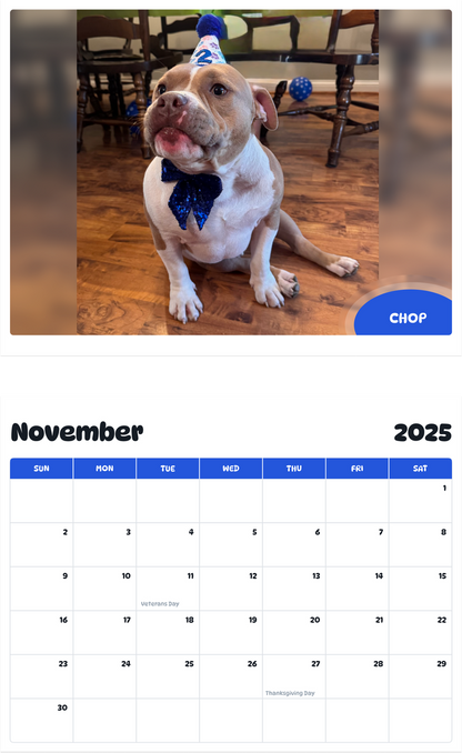 July 2025 - June 2026 Chop - Pawidols Pet Calendar