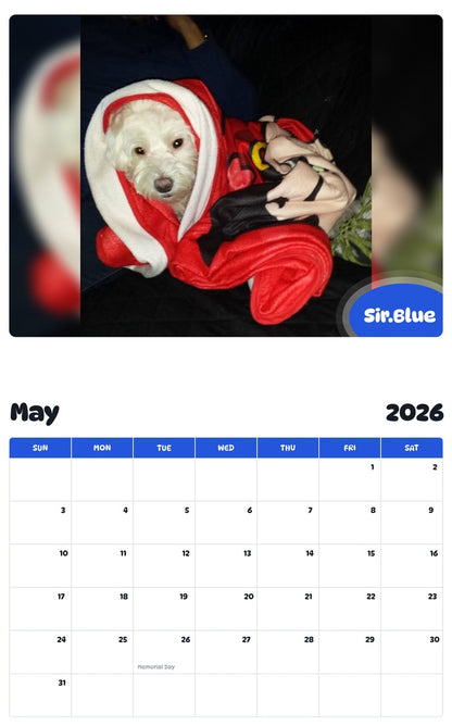 2026 - 2027 Sir.Blue - Pawidols Pet Calendar