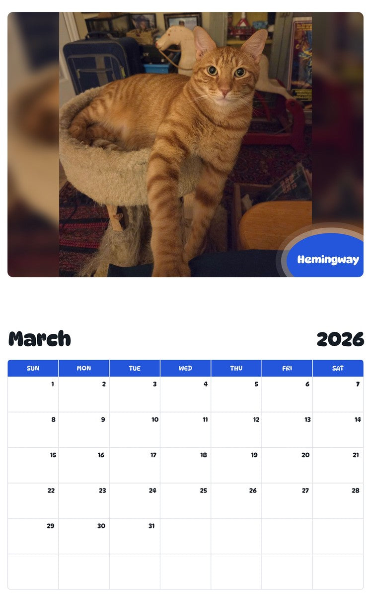 November 2025 - October 2026 Hemingway - Pawidols Pet Calendar
