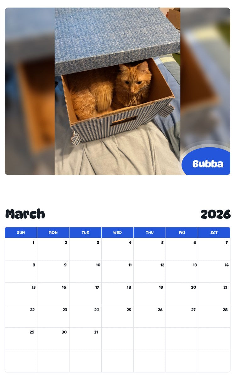 November 2025 - October 2026 Bubba - Pawidols Pet Calendar