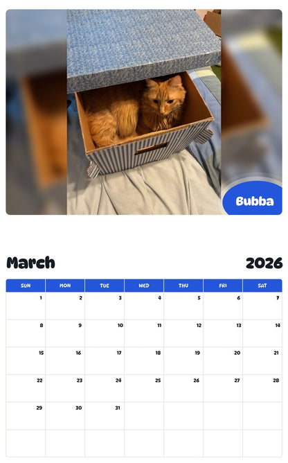November 2025 - October 2026 Bubba - Pawidols Pet Calendar