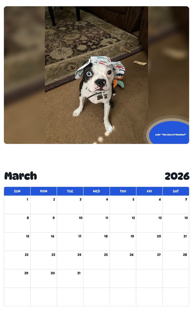 November 2025 - October 2026 Loki “ The God of Mischief” - Pawidols Pet Calendar